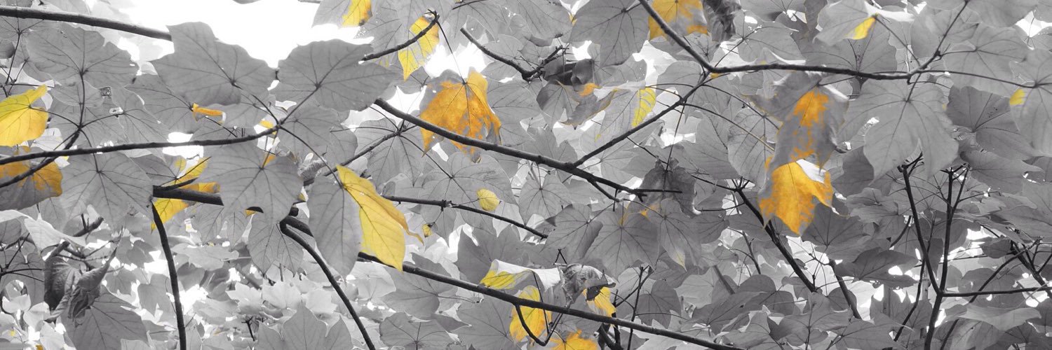 kwan___n's profile banner image