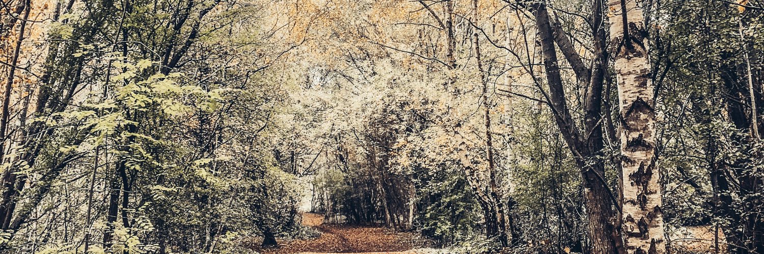 _carlssam's profile banner image