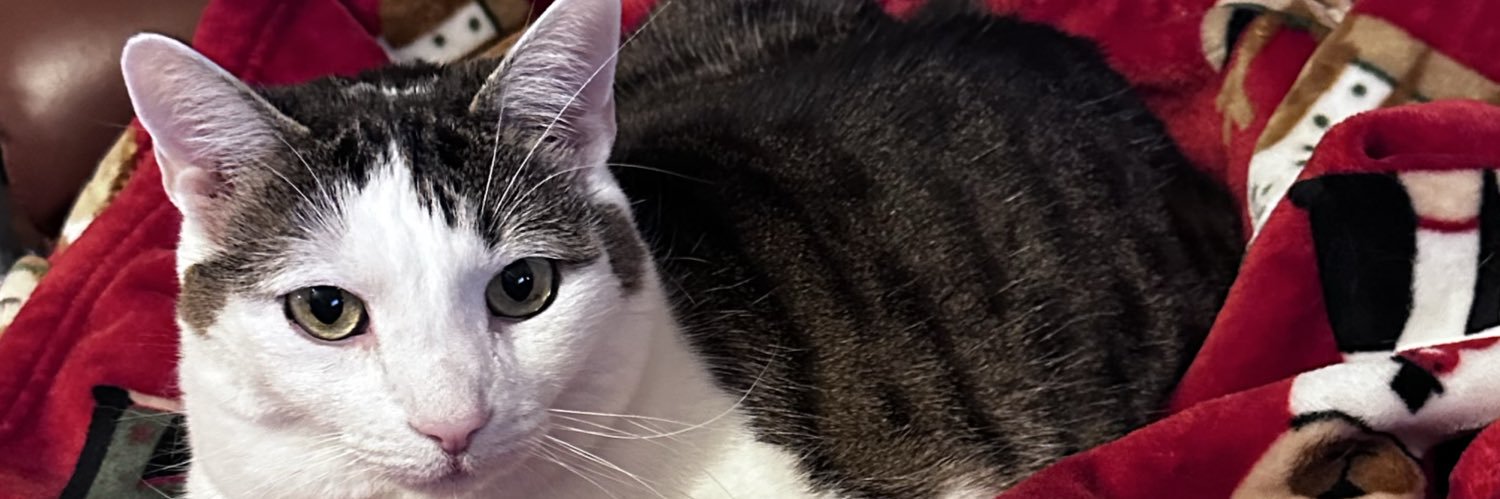 QofTU's profile banner image