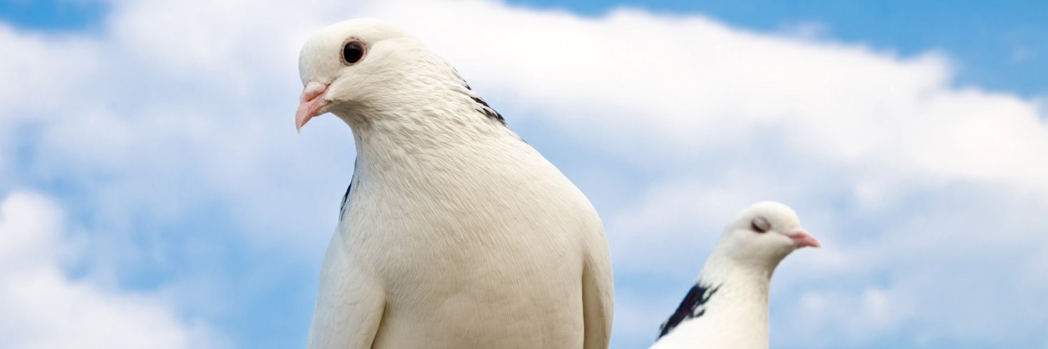 oldy94's profile banner image