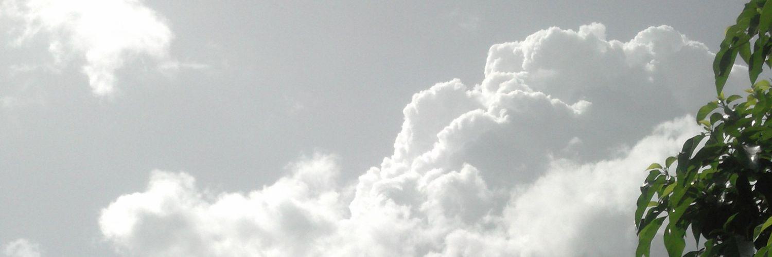 madajari's profile banner image