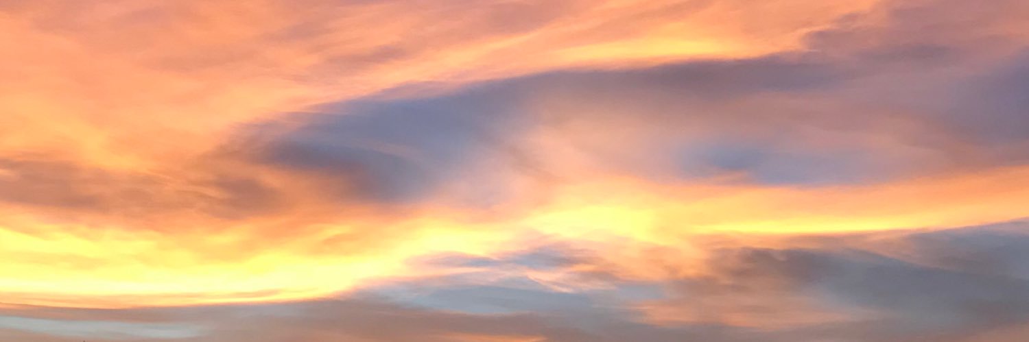 domingosms's profile banner image