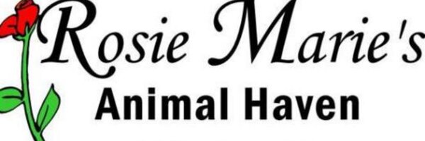 Rosie Maries Profile Banner