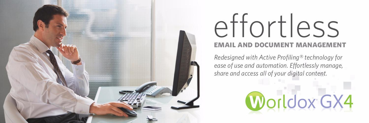 World Software banner