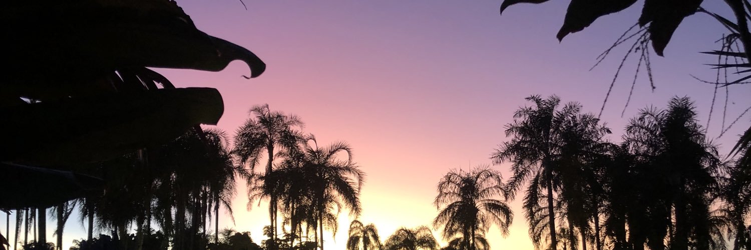 Samuel Siqueira banner