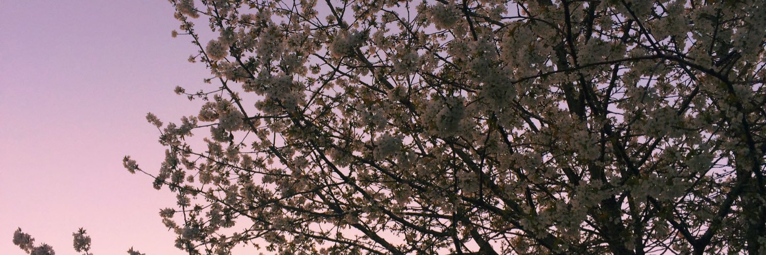 abeehague's profile banner image