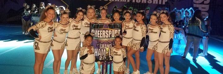 Cheer Alliance banner