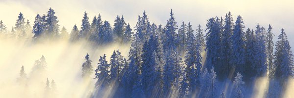 WWF_Schweiz Profile Banner