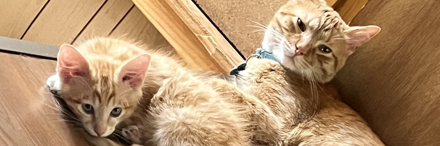 Dani💕 banner