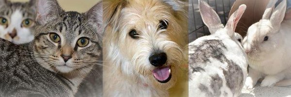 HSTC1 Profile Banner