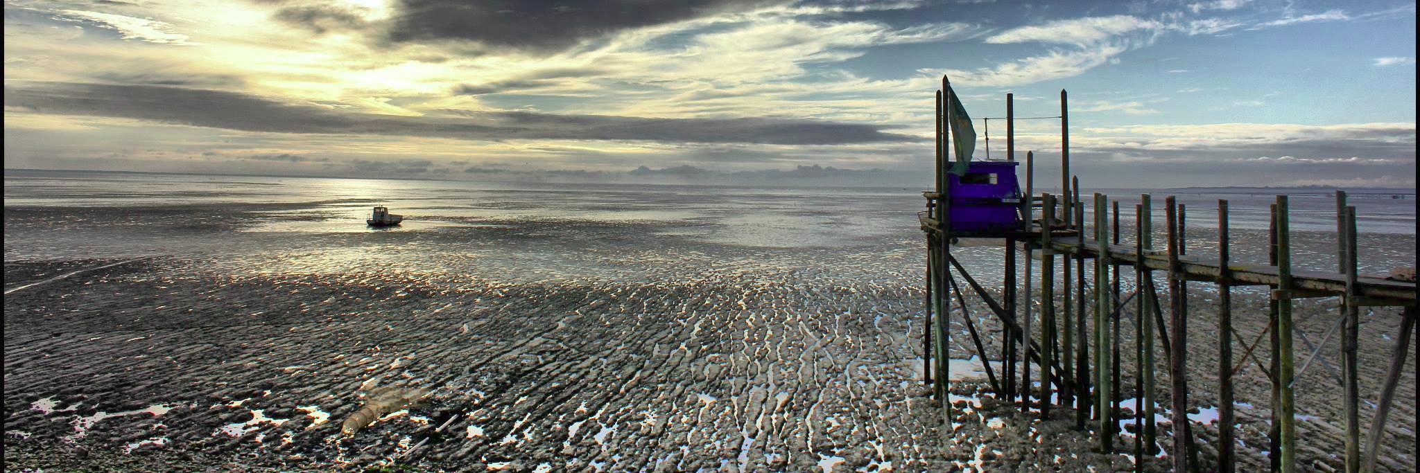 vignaud's profile banner image