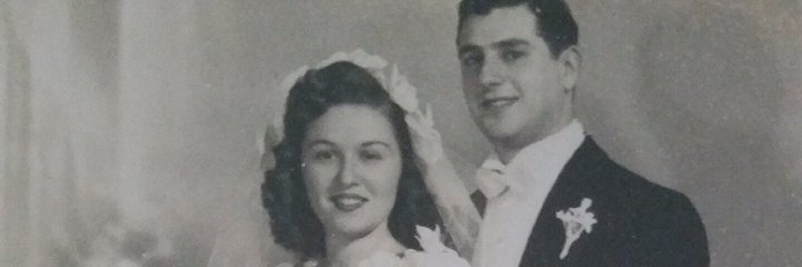 SteveTennenbaum's profile banner image