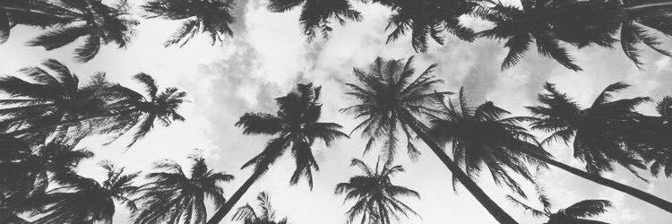 LalaIsmerim's profile banner image