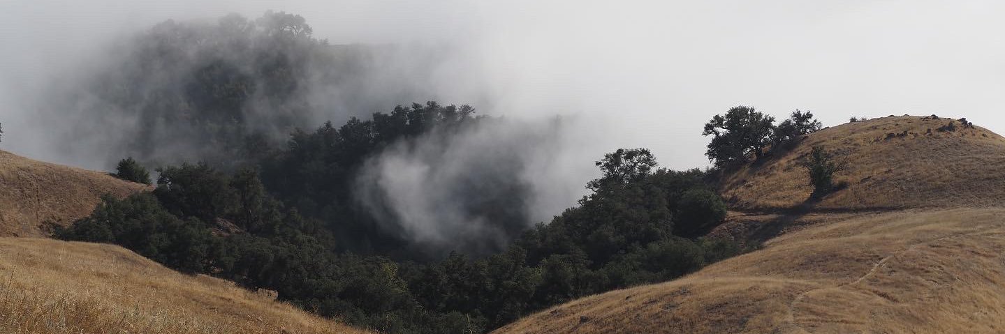 Peter Abrahamsen banner