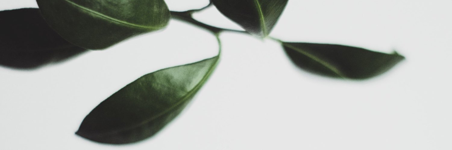 jonahpritchett's profile banner image