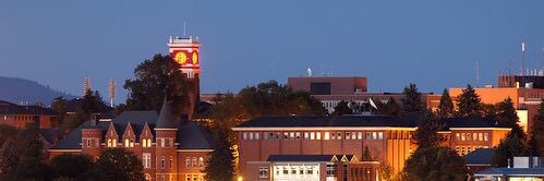 WSU_RHA's profile banner image