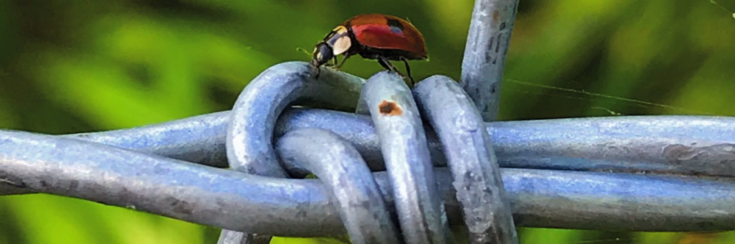 earlybirder's profile banner image