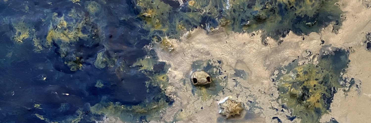 Lidepeixes's profile banner image