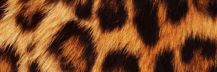 Suenamous's profile banner image