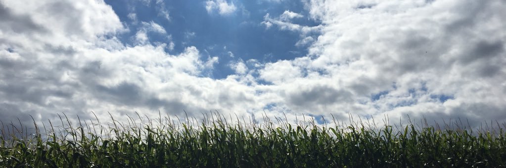 Mwarren1220's profile banner image