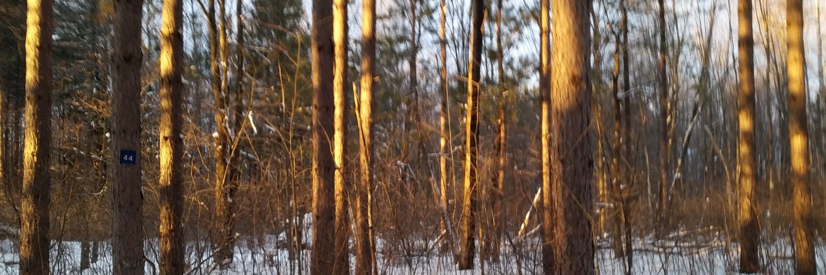 DomD29's profile banner image