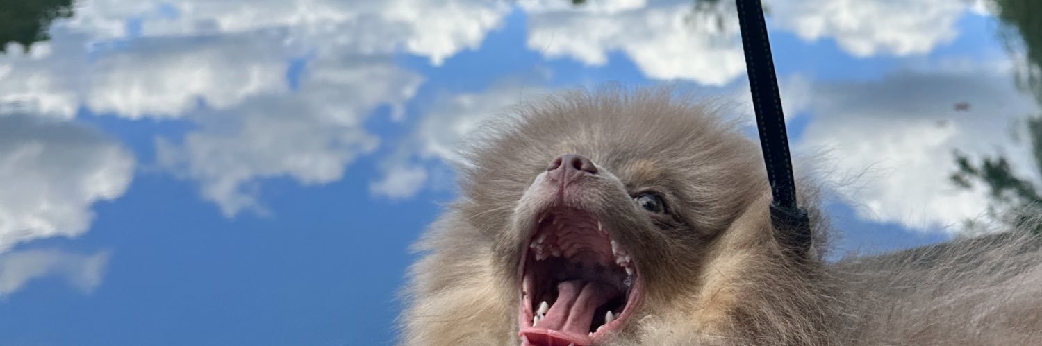 montanaroth's profile banner image