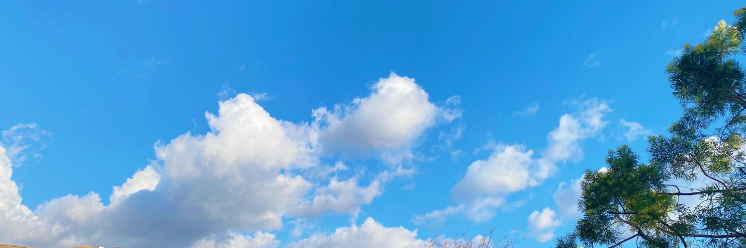 mySlowly1's profile banner image