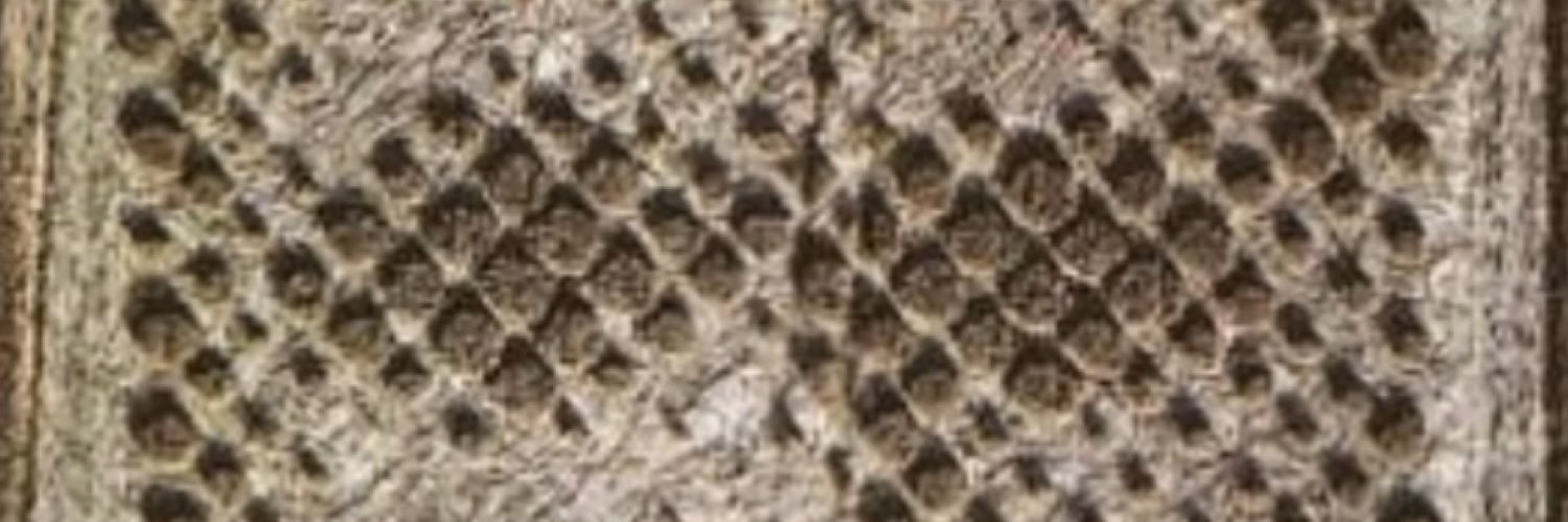 Shredicone's profile banner image