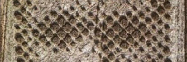 Shredicone Profile Banner