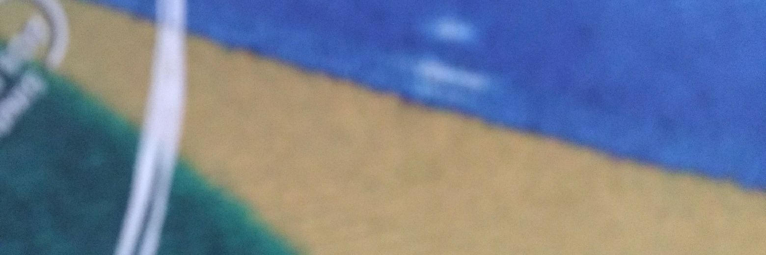 gocarvalho's profile banner image