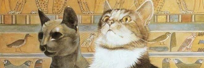 CHICO_Tio's profile banner image