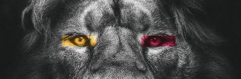 _karagoz_'s profile banner image