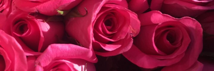 fernand_jess's profile banner image