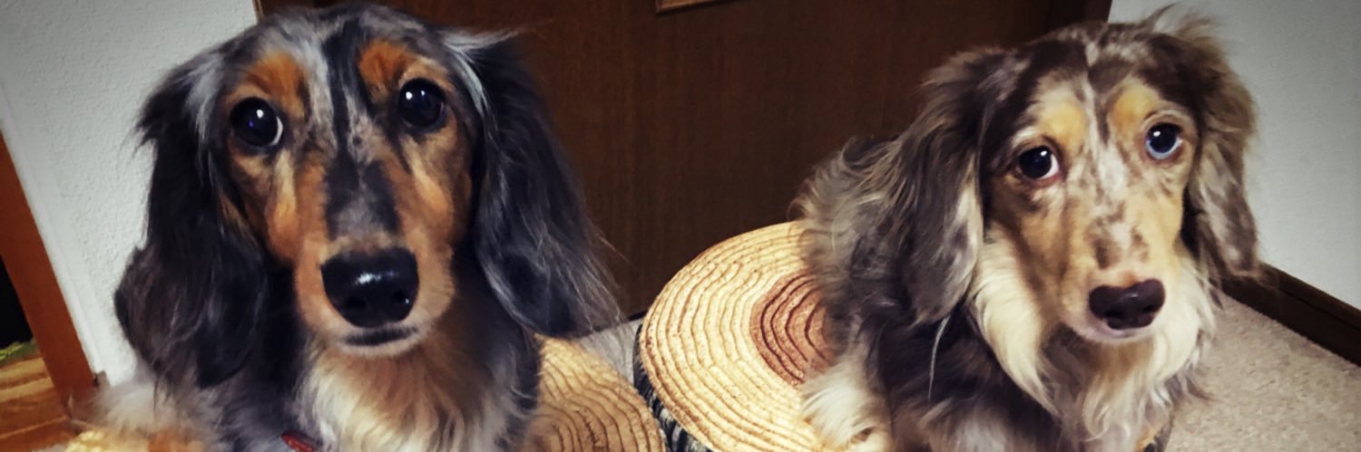 まりる＠Ridill村 banner