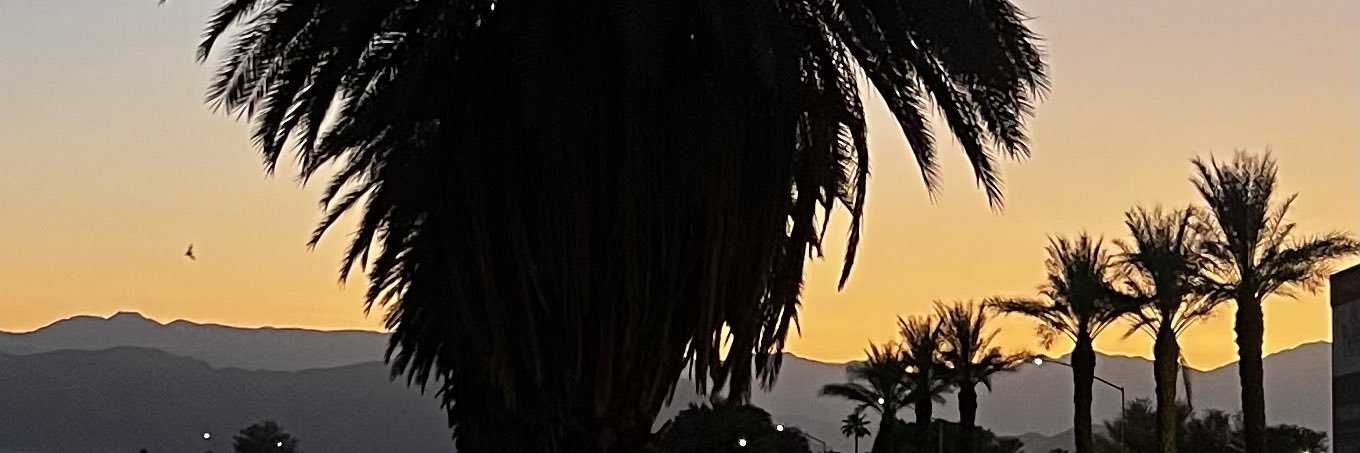 MonsterBurrell's profile banner image