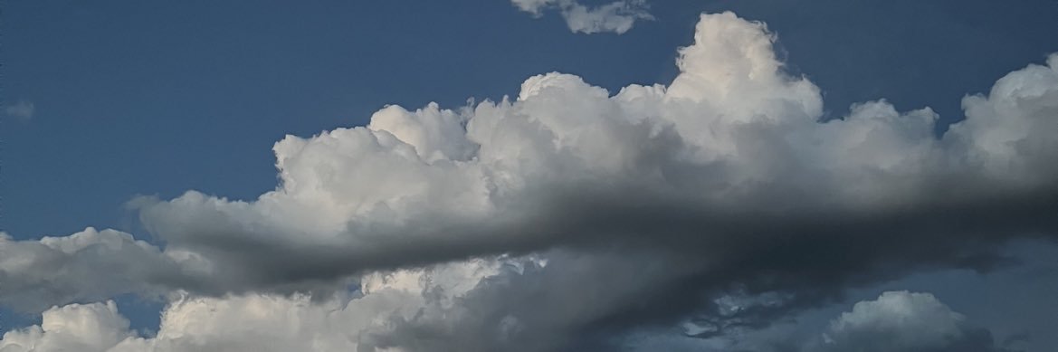 cardighansummer's profile banner image