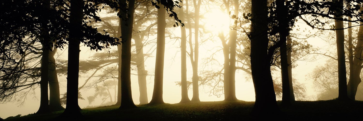 adrianpillinger's profile banner image
