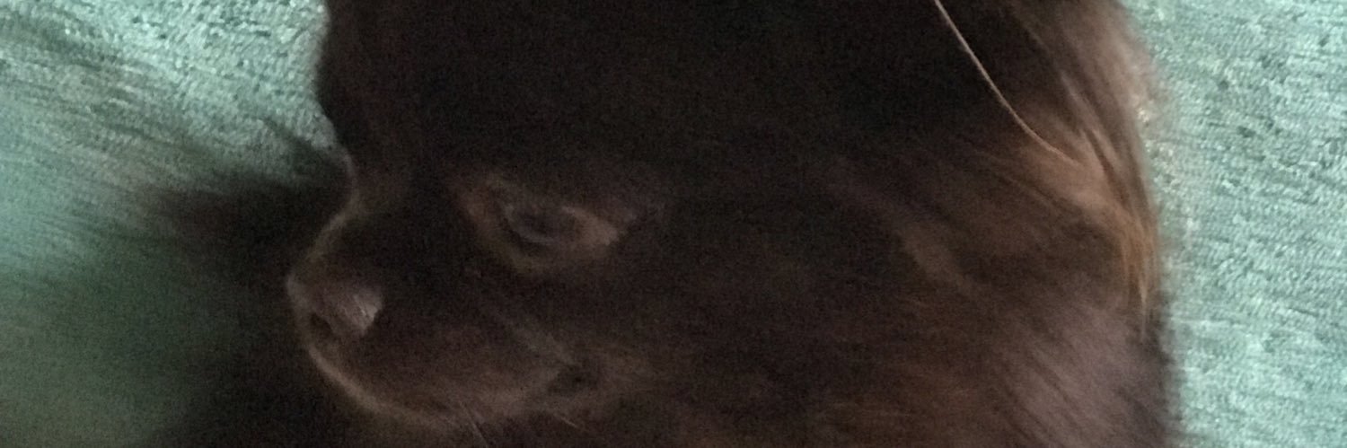 mmagadell's profile banner image