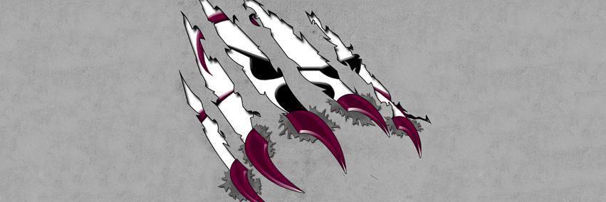 egrizfans's profile banner image