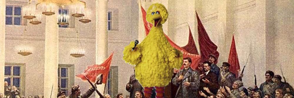 Big Bird banner