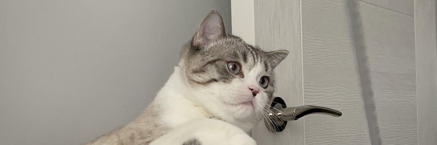 kararliadam's profile banner image