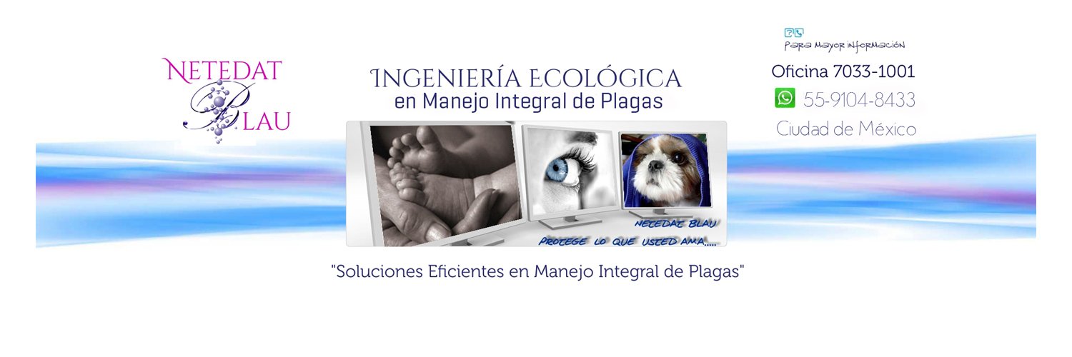 fumigacion's profile banner image