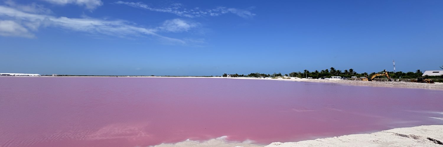 Araceli Álvarez U ✨ banner