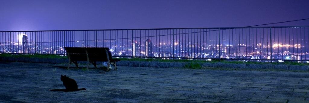 akira39's profile banner image