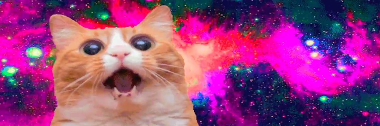 CesrCely's profile banner image