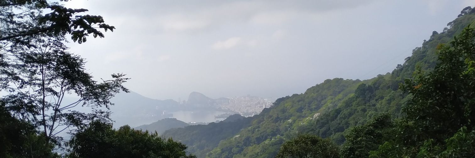jaasielfelipe's profile banner image