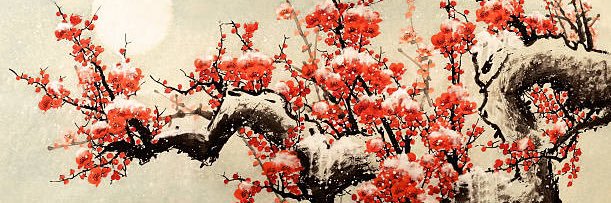 Florencia Pulla banner