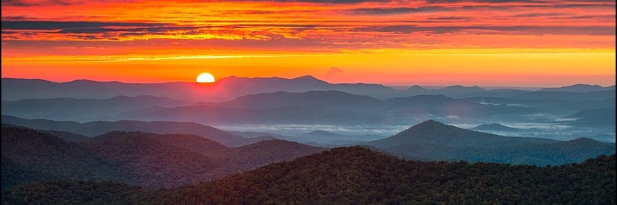 Dave Allen Photography's banner