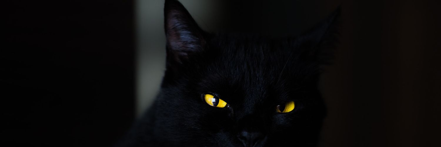 ° banner