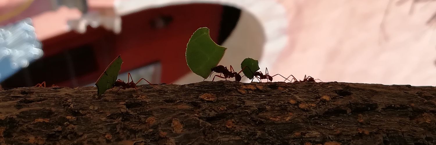 BNDN94's profile banner image
